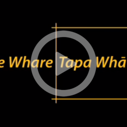 Te Whare Tapa Wha video image